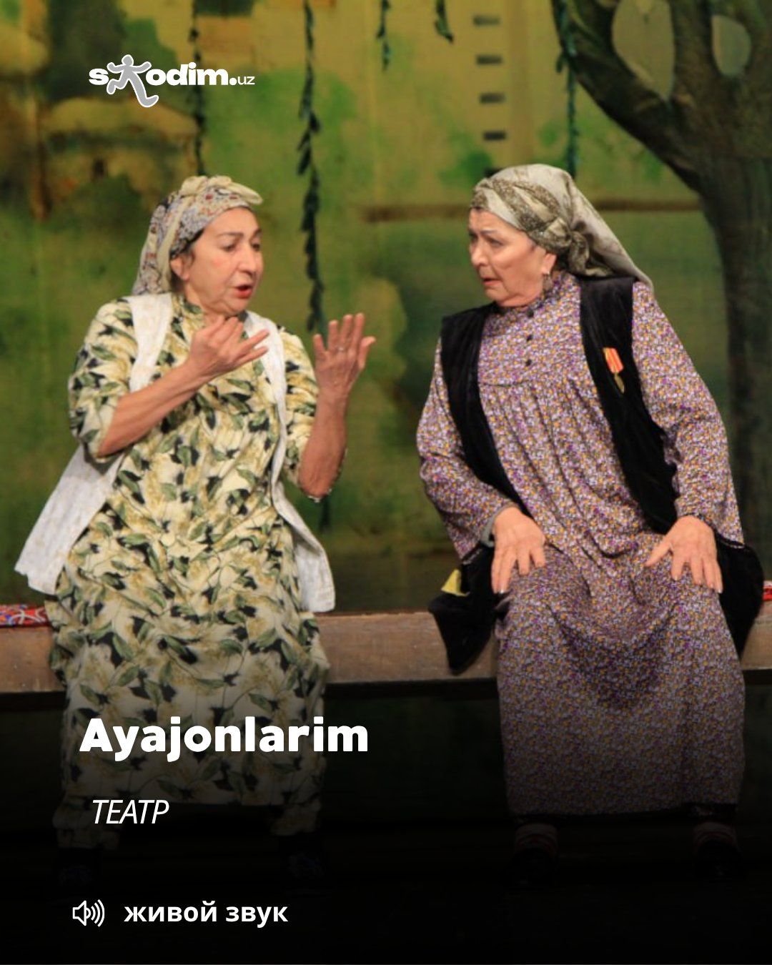 “Аяжонларим”