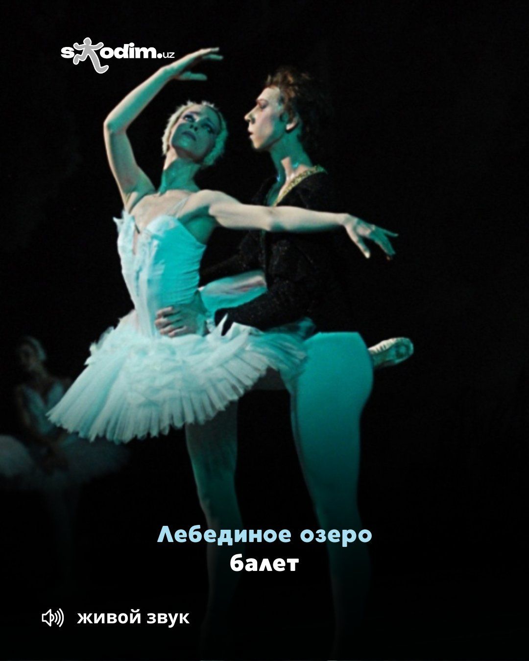 Премьера П. Чайковский «Лебединое озеро» балет